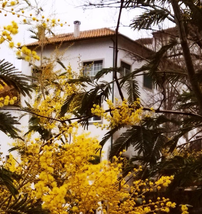 Casa Do Rio Hotell Termas de Sao Pedro do Sul Exteriör bild